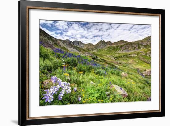 USA, Colorado. Wildflowers in American Basin in the San Juan Mountains-Dennis Flaherty-Framed Photographic Print