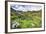 USA, Colorado. Wildflowers in American Basin in the San Juan Mountains-Dennis Flaherty-Framed Photographic Print