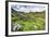 USA, Colorado. Wildflowers in American Basin in the San Juan Mountains-Dennis Flaherty-Framed Photographic Print