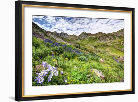 USA, Colorado. Wildflowers in American Basin in the San Juan Mountains-Dennis Flaherty-Framed Photographic Print