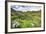 USA, Colorado. Wildflowers in American Basin in the San Juan Mountains-Dennis Flaherty-Framed Photographic Print