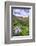 USA, Colorado. Wildflowers in American Basin in the San Juan Mountains-Dennis Flaherty-Framed Photographic Print