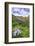 USA, Colorado. Wildflowers in American Basin in the San Juan Mountains-Dennis Flaherty-Framed Photographic Print