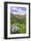 USA, Colorado. Wildflowers in American Basin in the San Juan Mountains-Dennis Flaherty-Framed Photographic Print