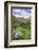 USA, Colorado. Wildflowers in American Basin in the San Juan Mountains-Dennis Flaherty-Framed Photographic Print