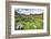 USA, Colorado. Wildflowers in American Basin in the San Juan Mountains-Dennis Flaherty-Framed Photographic Print