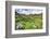 USA, Colorado. Wildflowers in American Basin in the San Juan Mountains-Dennis Flaherty-Framed Photographic Print