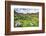 USA, Colorado. Wildflowers in American Basin in the San Juan Mountains-Dennis Flaherty-Framed Photographic Print