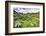 USA, Colorado. Wildflowers in American Basin in the San Juan Mountains-Dennis Flaherty-Framed Photographic Print