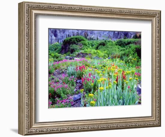 USA, Colorado, Wildflowers in Yankee Boy Basin in the Rocky Mountains-Jaynes Gallery-Framed Photographic Print