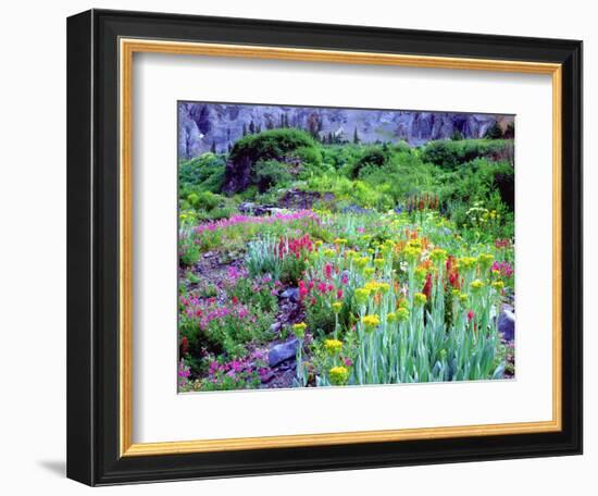 USA, Colorado, Wildflowers in Yankee Boy Basin in the Rocky Mountains-Jaynes Gallery-Framed Photographic Print