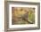 USA, Colorado, Woodland Park. Mourning dove on branch-Don Grall-Framed Photographic Print