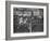 Usa Dave Sime and German Armin Hary at End of Men's 100-Meter Dash-null-Framed Premium Photographic Print