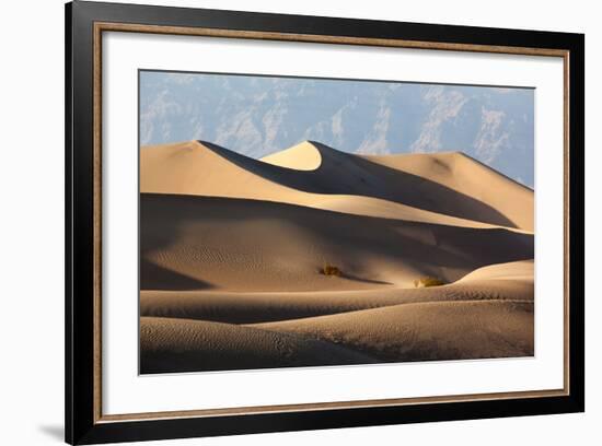 USA, Death Valley National Park, Mesquite Flat Sand Dunes-Catharina Lux-Framed Photographic Print