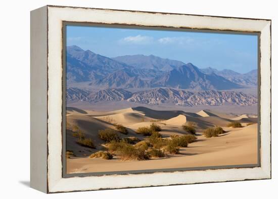 USA, Death Valley National Park, Mesquite Flat Sand Dunes-Catharina Lux-Framed Premier Image Canvas