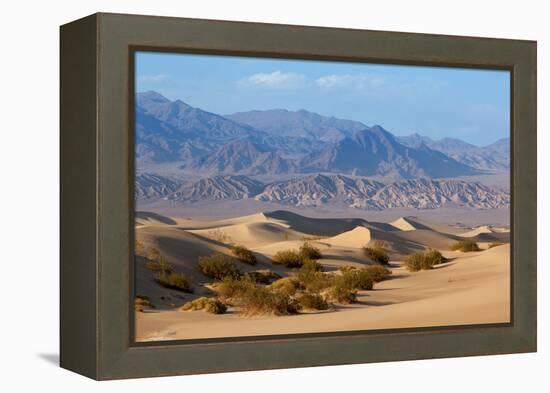 USA, Death Valley National Park, Mesquite Flat Sand Dunes-Catharina Lux-Framed Premier Image Canvas