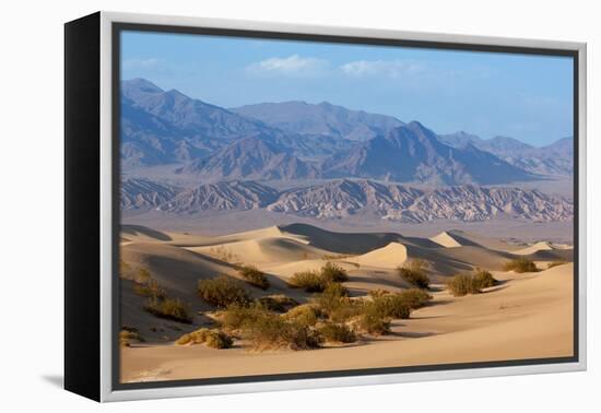 USA, Death Valley National Park, Mesquite Flat Sand Dunes-Catharina Lux-Framed Premier Image Canvas