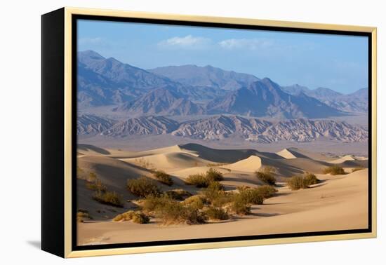 USA, Death Valley National Park, Mesquite Flat Sand Dunes-Catharina Lux-Framed Premier Image Canvas