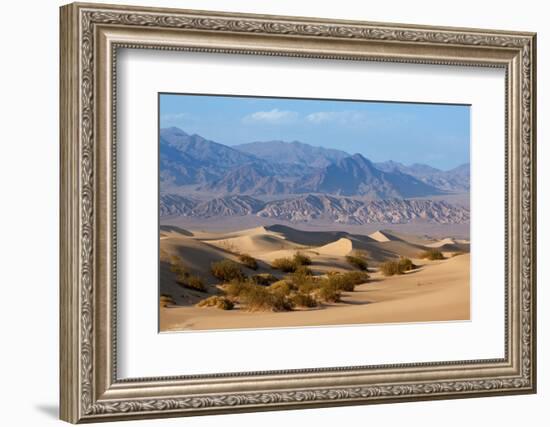 USA, Death Valley National Park, Mesquite Flat Sand Dunes-Catharina Lux-Framed Photographic Print