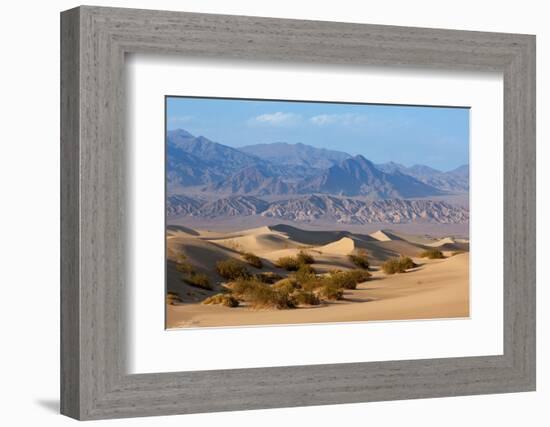 USA, Death Valley National Park, Mesquite Flat Sand Dunes-Catharina Lux-Framed Photographic Print