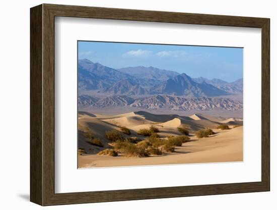 USA, Death Valley National Park, Mesquite Flat Sand Dunes-Catharina Lux-Framed Photographic Print