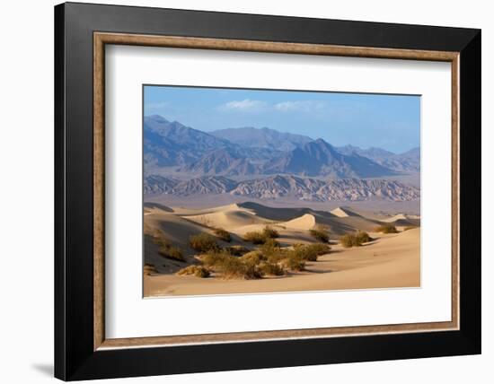 USA, Death Valley National Park, Mesquite Flat Sand Dunes-Catharina Lux-Framed Photographic Print