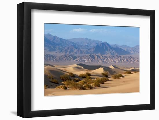 USA, Death Valley National Park, Mesquite Flat Sand Dunes-Catharina Lux-Framed Photographic Print