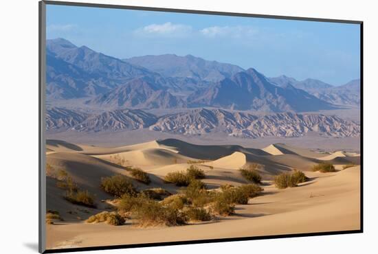 USA, Death Valley National Park, Mesquite Flat Sand Dunes-Catharina Lux-Mounted Photographic Print