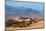 USA, Death Valley National Park, Mesquite Flat Sand Dunes-Catharina Lux-Mounted Photographic Print