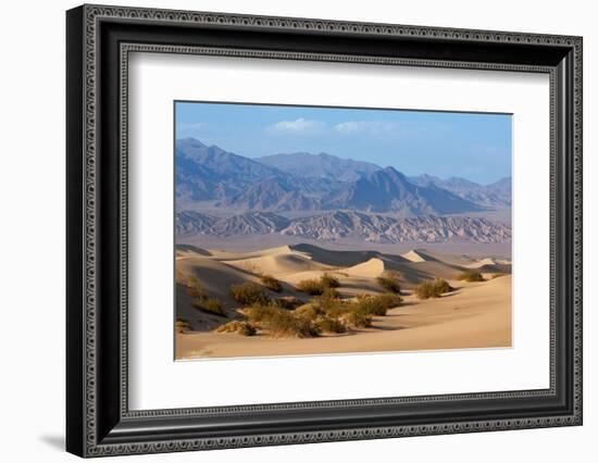 USA, Death Valley National Park, Mesquite Flat Sand Dunes-Catharina Lux-Framed Photographic Print