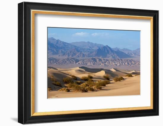 USA, Death Valley National Park, Mesquite Flat Sand Dunes-Catharina Lux-Framed Photographic Print