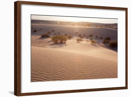 USA, Death Valley National Park, Mesquite Flat Sand Dunes-Catharina Lux-Framed Photographic Print