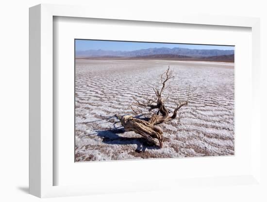 USA, Death Valley National Park, Salt Creek-Catharina Lux-Framed Photographic Print