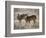 USA, deer-George Theodore-Framed Photographic Print