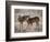 USA, deer-George Theodore-Framed Photographic Print