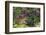 USA, Delaware, Wilmington. Brook running between rocks and flowers-Hollice Looney-Framed Photographic Print