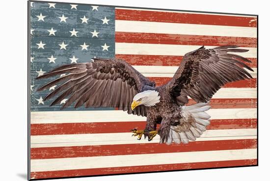 USA Eagle-Kimberly Allen-Mounted Art Print