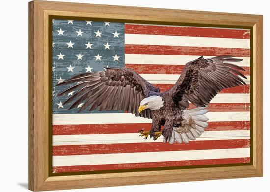 USA Eagle-Kimberly Allen-Framed Stretched Canvas