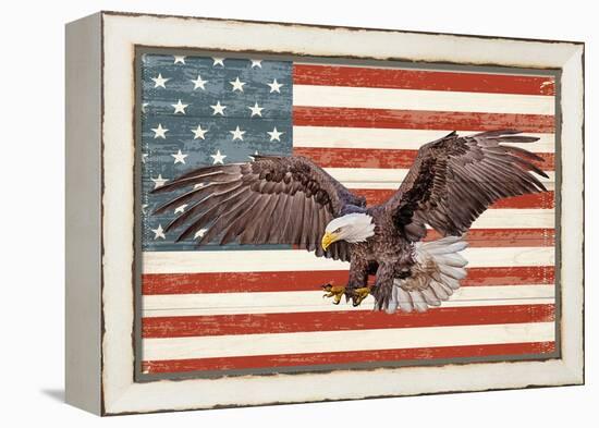 USA Eagle-Kimberly Allen-Framed Stretched Canvas