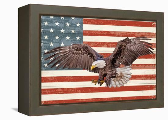 USA Eagle-Kimberly Allen-Framed Stretched Canvas