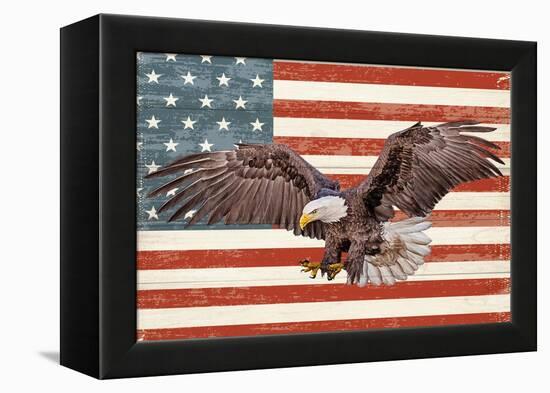 USA Eagle-Kimberly Allen-Framed Stretched Canvas