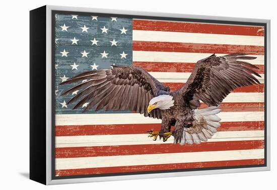 USA Eagle-Kimberly Allen-Framed Stretched Canvas