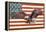 USA Eagle-Kimberly Allen-Framed Stretched Canvas