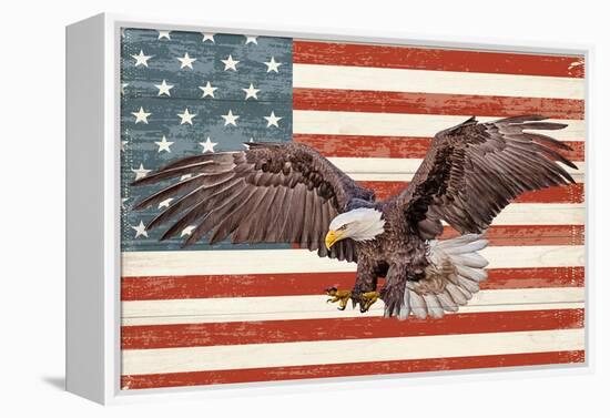 USA Eagle-Kimberly Allen-Framed Stretched Canvas