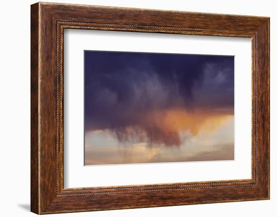 USA, Elephant Butte Lake State Park, New Mexico. Weather condition called Virga-Maresa Pryor-Framed Photographic Print