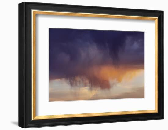 USA, Elephant Butte Lake State Park, New Mexico. Weather condition called Virga-Maresa Pryor-Framed Photographic Print