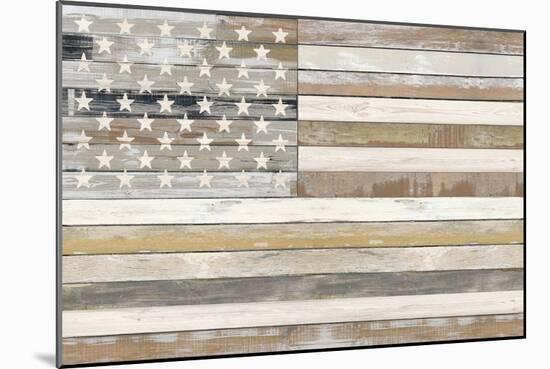 USA Flag 2, 2023-Parker Ross-Mounted Art Print