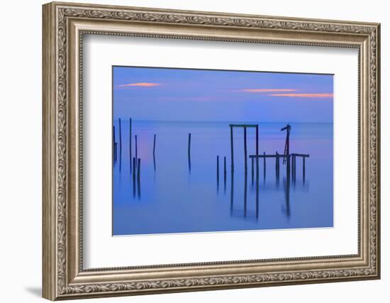 USA, Florida, Apalachicola. Remains of an old dock at sunrise.-Joanne Wells-Framed Photographic Print