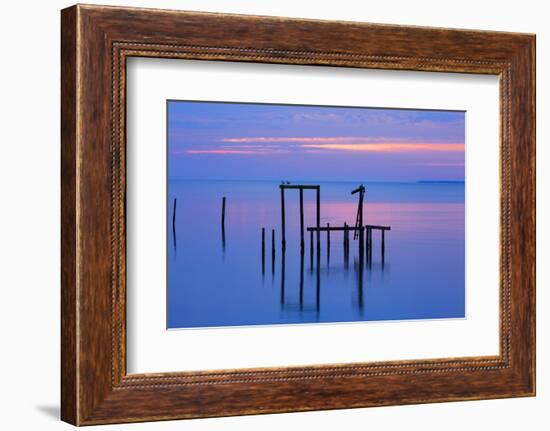 USA, Florida. Apalachicola, Remains of an old dock at sunrise.-Joanne Wells-Framed Photographic Print