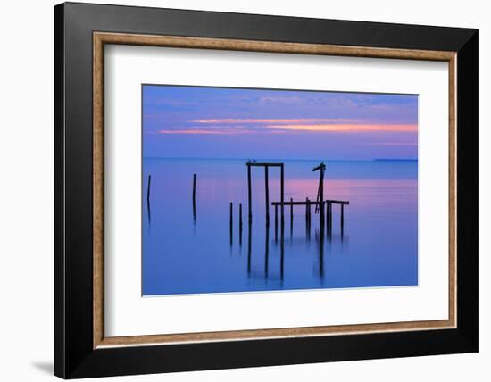 USA, Florida. Apalachicola, Remains of an old dock at sunrise.-Joanne Wells-Framed Photographic Print